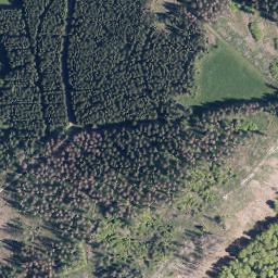 Satellite imagery of Schweinskaute, DE