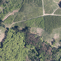 Satellite imagery of Schweinskaute, DE