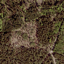Satellite imagery of Gerhardsberg, DE