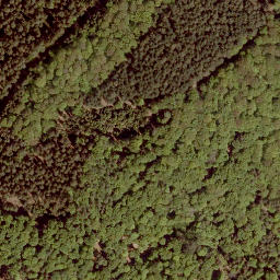 Satellite imagery of Mühlberg, DE