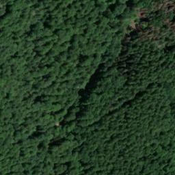 Satellite imagery of Lützelsberg, DE
