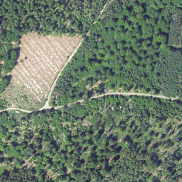 Satellite imagery of Auerhahnsberg, DE
