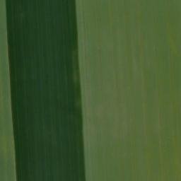 Satellite imagery of survey_point, DE