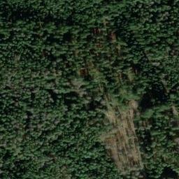Satellite imagery of Borschelsberg, DE