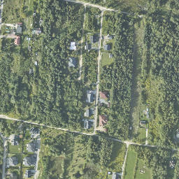 Satelita