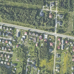 Satelita
