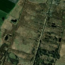 Satelita