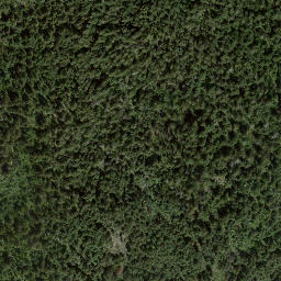 Satellite imagery of Aline Hill, CA