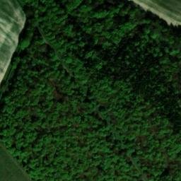 Satellite imagery of West Harting Down, GB