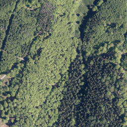 Satellite imagery of Erbachs Kopf, DE