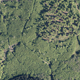 Satellite imagery of Erbachs Kopf, DE