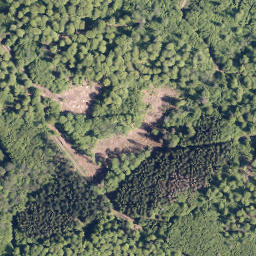 Satellite imagery of Erbachs Kopf, DE