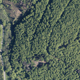 Satellite imagery of Briemberg, DE