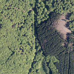 Satellite imagery of Briemberg, DE