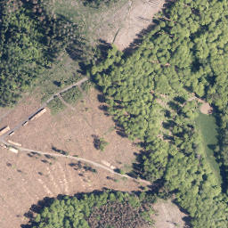 Satellite imagery of Schweinskaute, DE