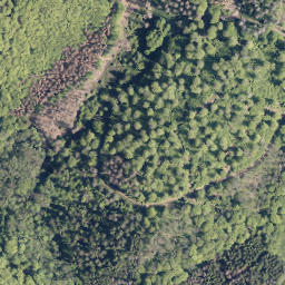 Satellite imagery of Schweinskaute, DE