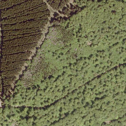 Satellite imagery of Stein, DE