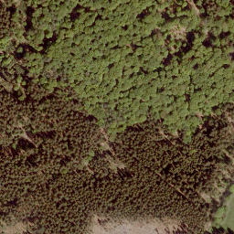 Satellite imagery of Mühlberg, DE