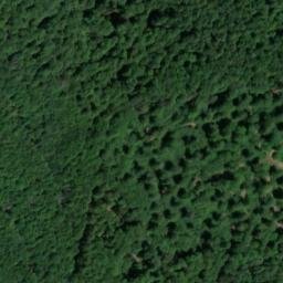 Satellite imagery of Lützelsberg, DE