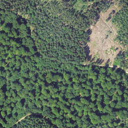 Satellite imagery of Hühnerkopf, DE