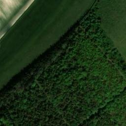 Satellite imagery of West Harting Down, GB