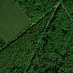 Satellite imagery of West Harting Down, GB