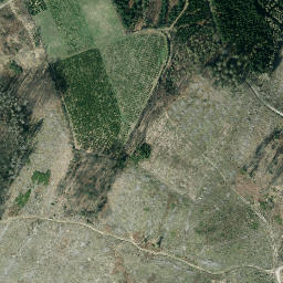 Satellite imagery of Hohheister, DE
