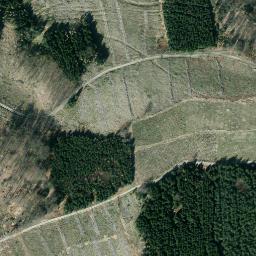 Satellite imagery of Hohheister, DE