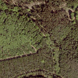 Satellite imagery of Sengerberg, DE