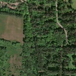 Satellite imagery of survey_point, DE