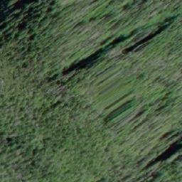 Satellite imagery of Elizabeth Cone, CA