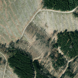 Satellite imagery of Hohheister, DE