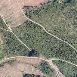 Satellite imagery of Hummersloh, DE