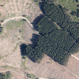 Satellite imagery of Kratzenberg, DE