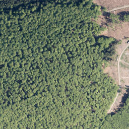 Satellite imagery of Große Goldkaute, DE