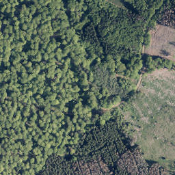 Satellite imagery of Hainrot, DE