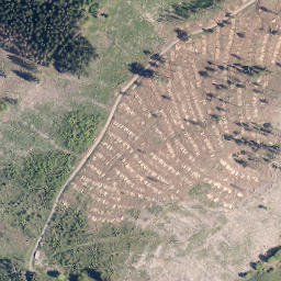 Satellite imagery of Hainrot, DE