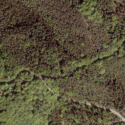 Satellite imagery of Christenberg, DE
