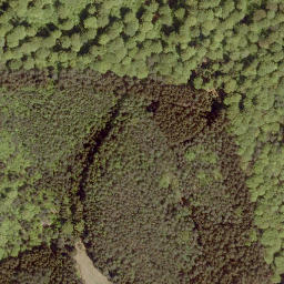 Satellite imagery of Hohehardt, DE