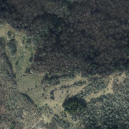 Satellite imagery of Alter Gleisberg, DE