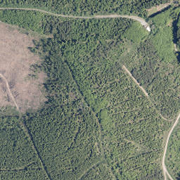 Satellite imagery of Homerich, DE