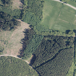 Satellite imagery of Homerich, DE