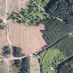 Satellite imagery of Trauberg, DE