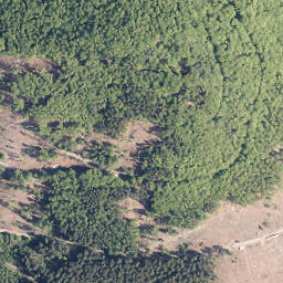 Satellite imagery of Burg, DE