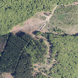 Satellite imagery of Große Goldkaute, DE