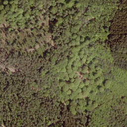 Satellite imagery of Hohehardt, DE