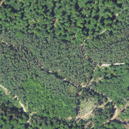 Satellite imagery of Leimbachskopf, DE