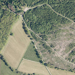 Satellite imagery of Löhkopf, DE