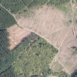 Satellite imagery of Homerich, DE