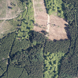 Satellite imagery of Trauberg, DE